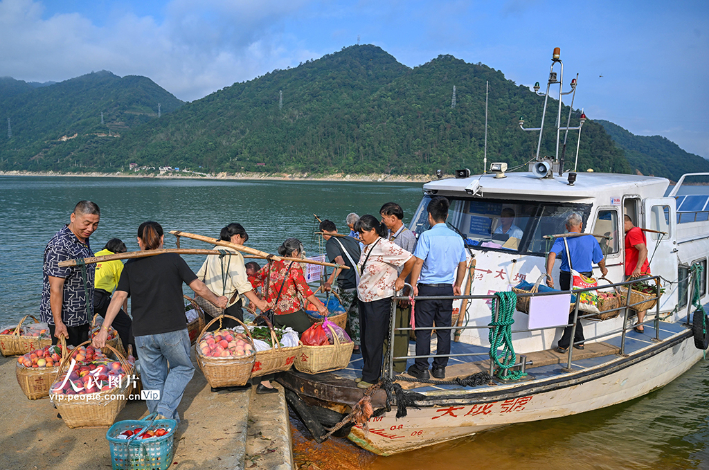 湖南资兴：东江湖“水果班船”助果农增收【5】