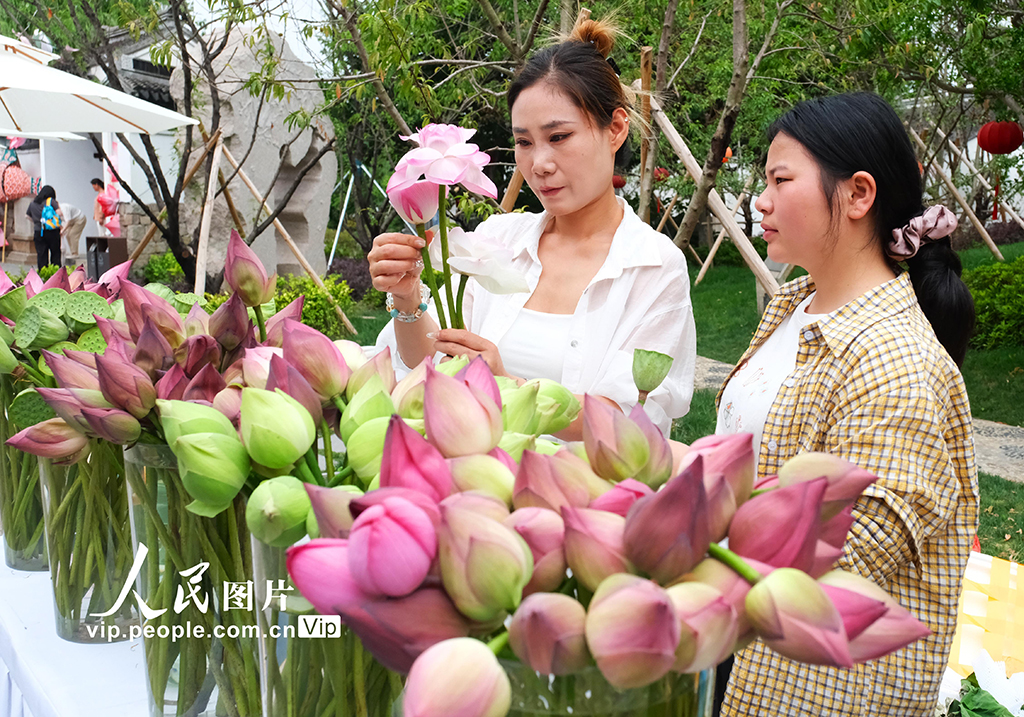 江苏苏州：桃花坞“荷花市集”人气旺【6】