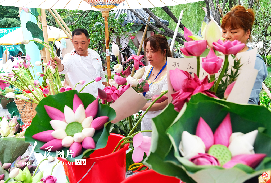江苏苏州：桃花坞“荷花市集”人气旺【7】