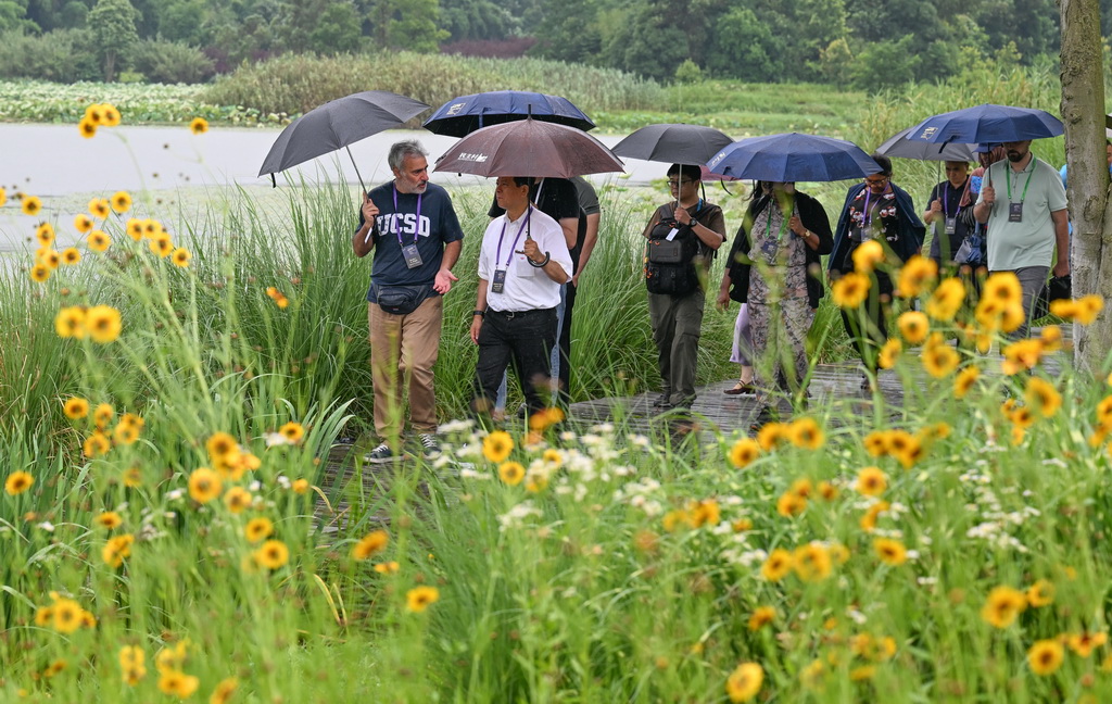 6月7日，参访代表参观重庆市梁平区双桂湖国家湿地公园。