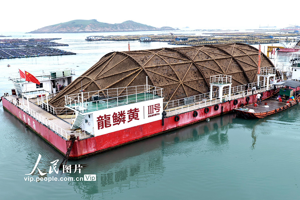 福建连江：“海上钢铁侠”织就“福海粮仓”【5】