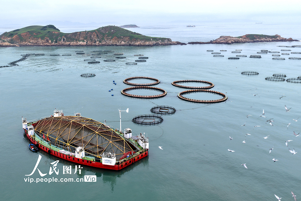 福建连江:“海上钢铁侠”织就“福海粮仓”【6】