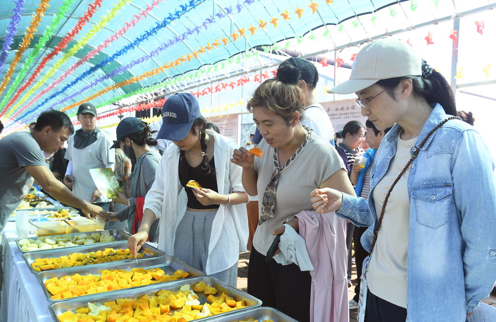 6月17日，在北京市平谷区东高村镇南埝头村农文旅科技小院，市民品尝各类南瓜。