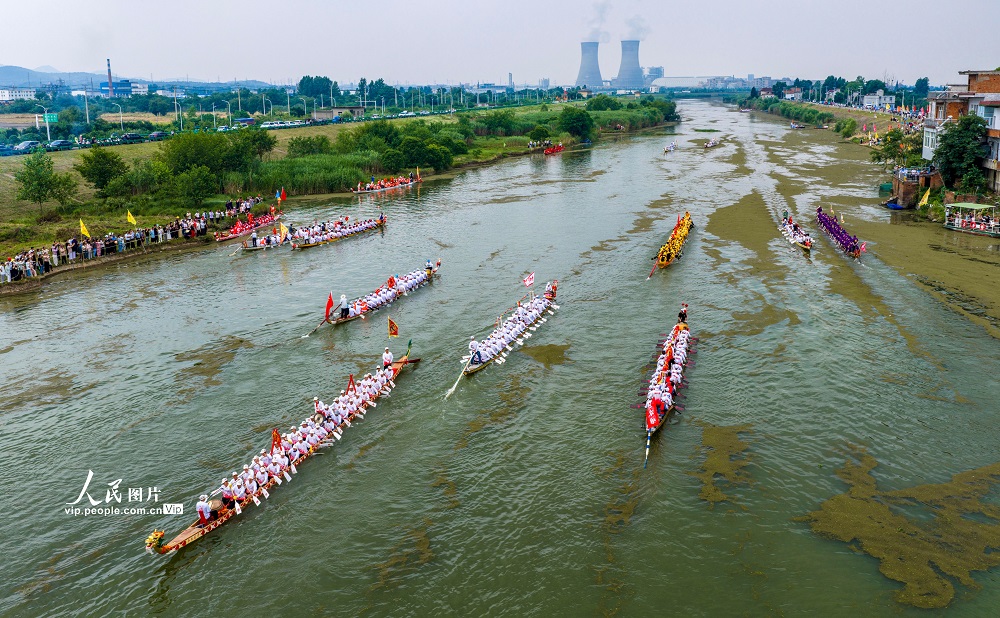 2026年6月18日，安徽省合肥市庐江县西河青帘段河道上，当地农民自发组织的龙舟争相竞渡，祈福丰年。左学长摄（人民图片网）