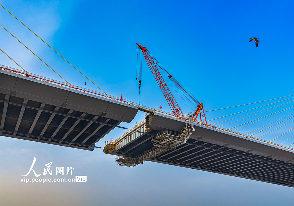 浙江宁波：甬江特大桥建设有序推进【5】