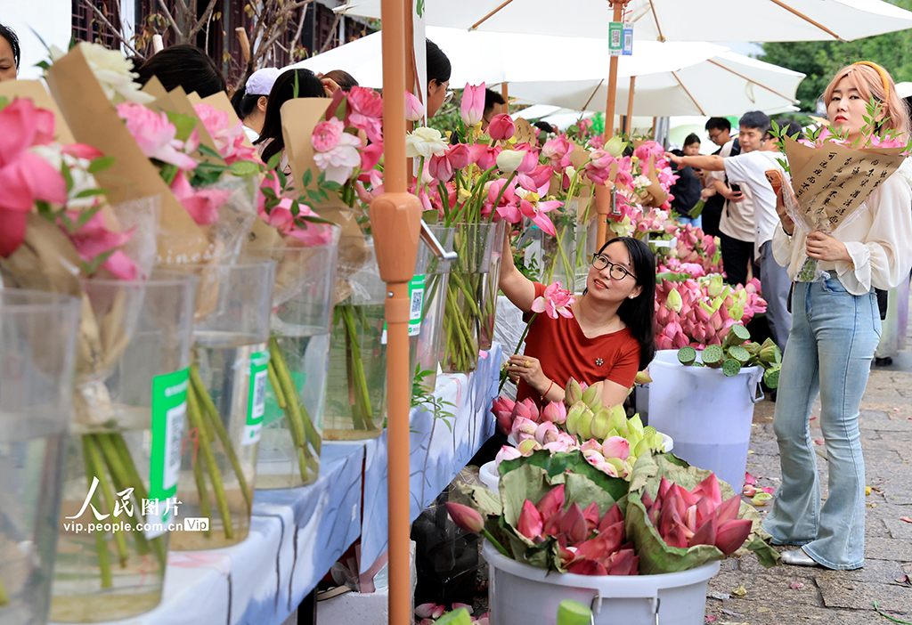 江苏苏州：桃花坞荷花市集人气旺【3】