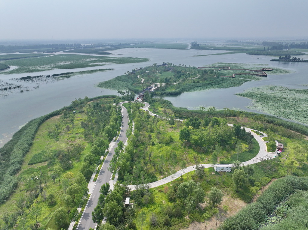 这是河北雄安新区白洋淀风光(6月24日摄,无人机照片)。
