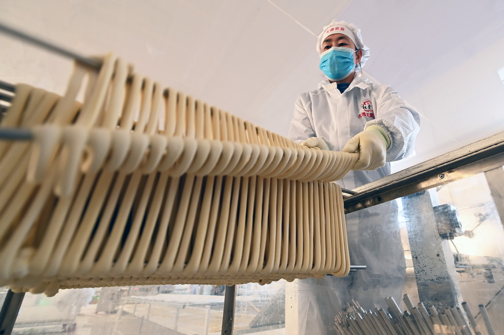2025年1月16日，在武威市古浪县泗水镇一家企业的手工挂面生产车间，工人进行搓条上柱操作。新华社记者 范培珅 摄