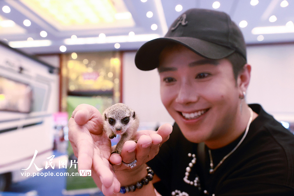 第二届北京爬宠嘉年华开幕 千种特色宠物亮相【6】