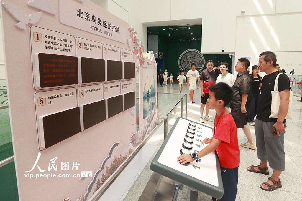 北京：“京华飞羽——北京常见鸟类专题展”开展【7】