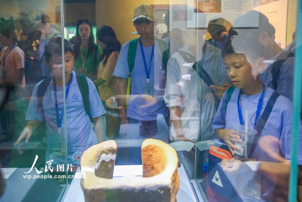 江苏宿迁：海外华裔青少年开启文化体验活动【2】