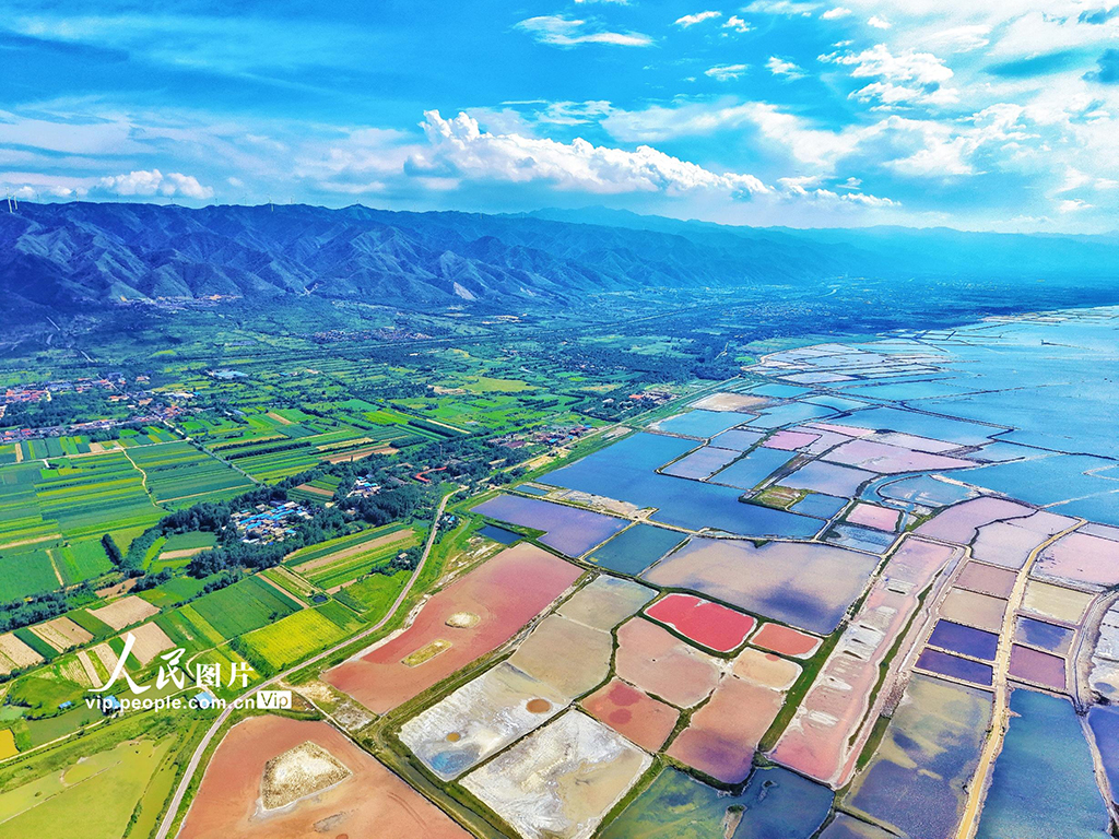 山西运城:夏日盐湖色彩斑斓【2】