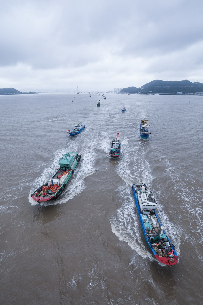 8月11日，渔船从浙江省舟山市普陀区沈家门渔港出发，前往东海海域开启捕捞作业。