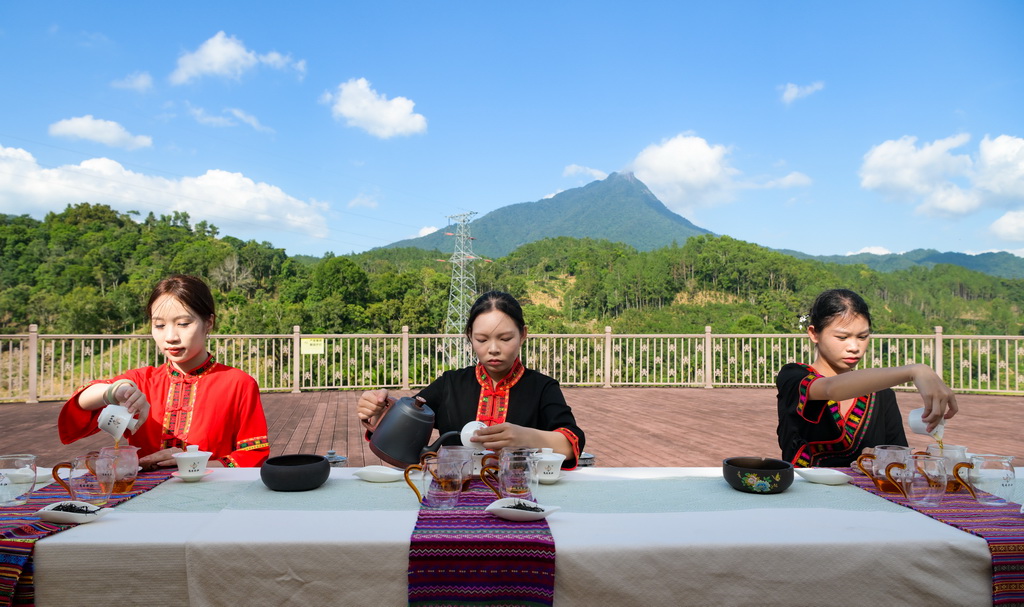 7月23日，在海南省五指山市水满乡鹦哥景红茶叶种植生产基地，茶艺师为游客冲泡五指山红茶。新华社记者 杨冠宇 摄