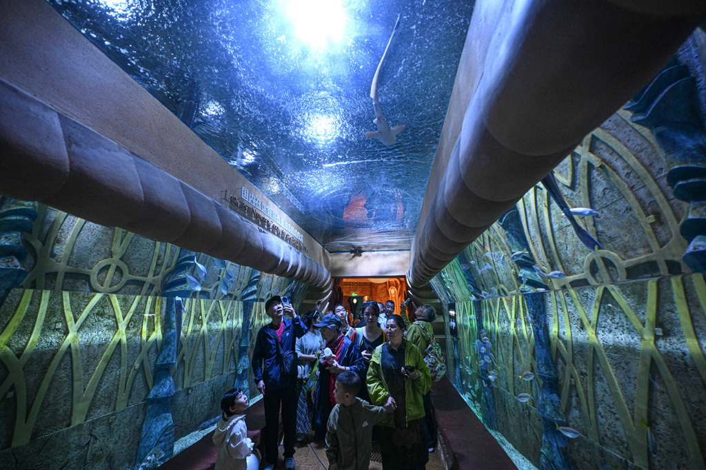 1月15日，游客在海南三亚亚特兰蒂斯水族馆参观。新华社记者 蒲晓旭 摄