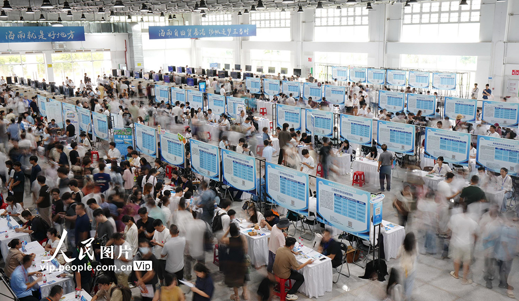 海南海口：2026年暑期人才对接会举行【4】