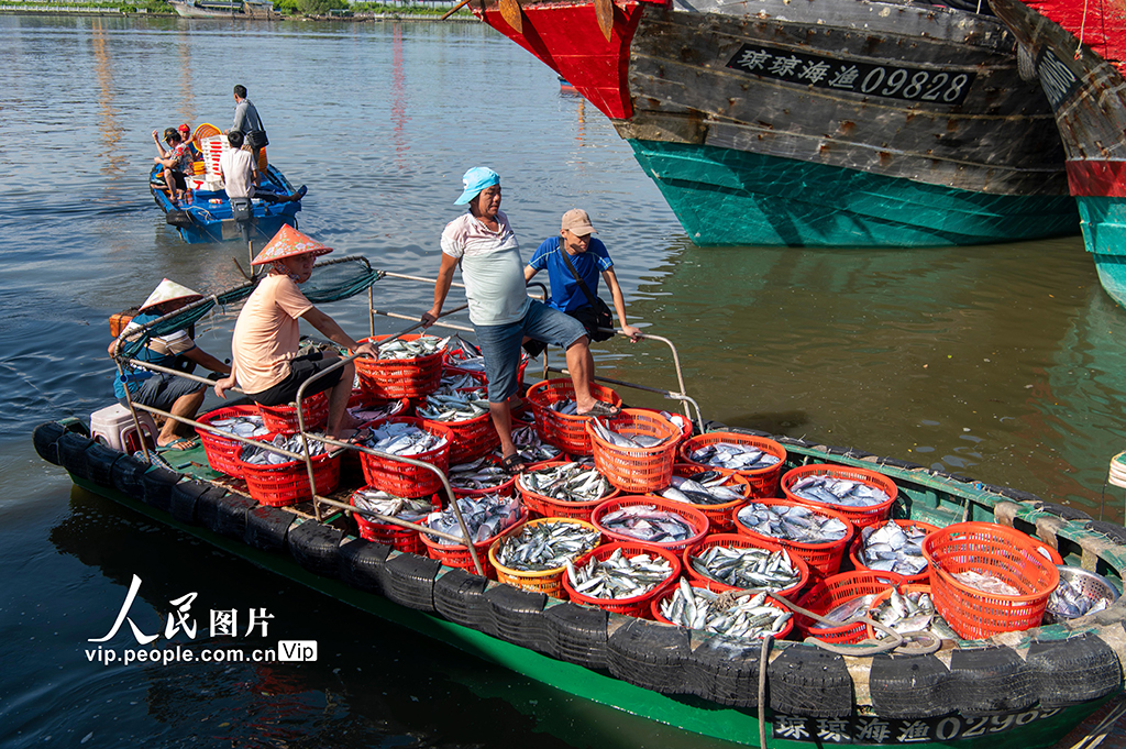 海南琼海：开渔迎丰收 码头渔市旺