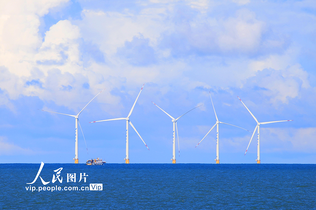 浙江玉環：海風電能進萬家