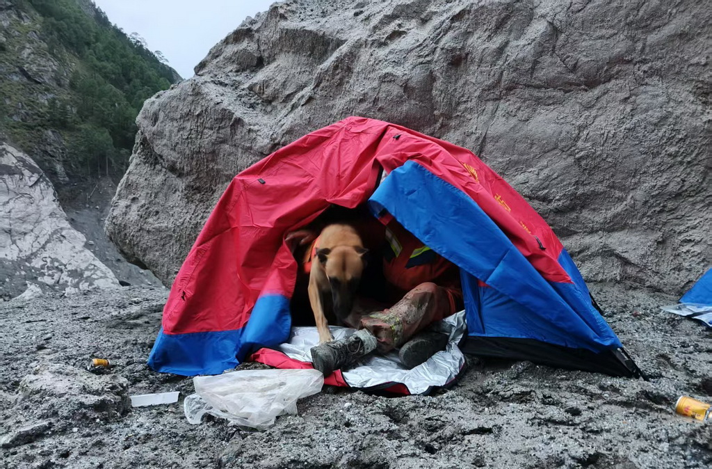 8月31日，入夜前，搜救犬和救援人员在帐篷里互相取暖。