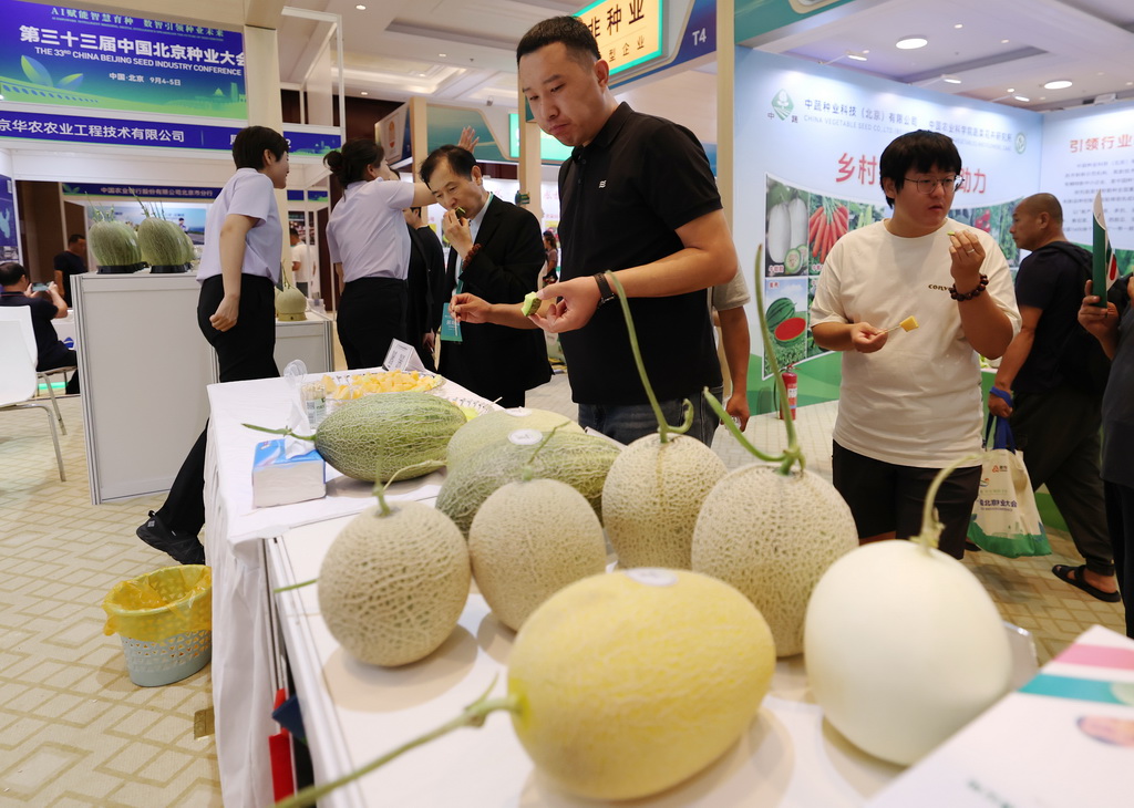 9月4日，参观者在第三十三届中国北京种业大会上品尝瓜果产品。
