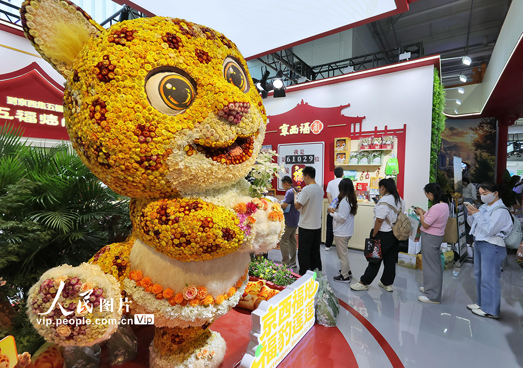 2026年中国国际服务贸易交易会开幕【8】