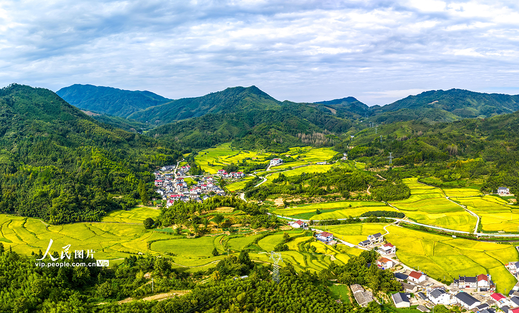 安徽黄山：秋日乡村 丰收画卷【5】
