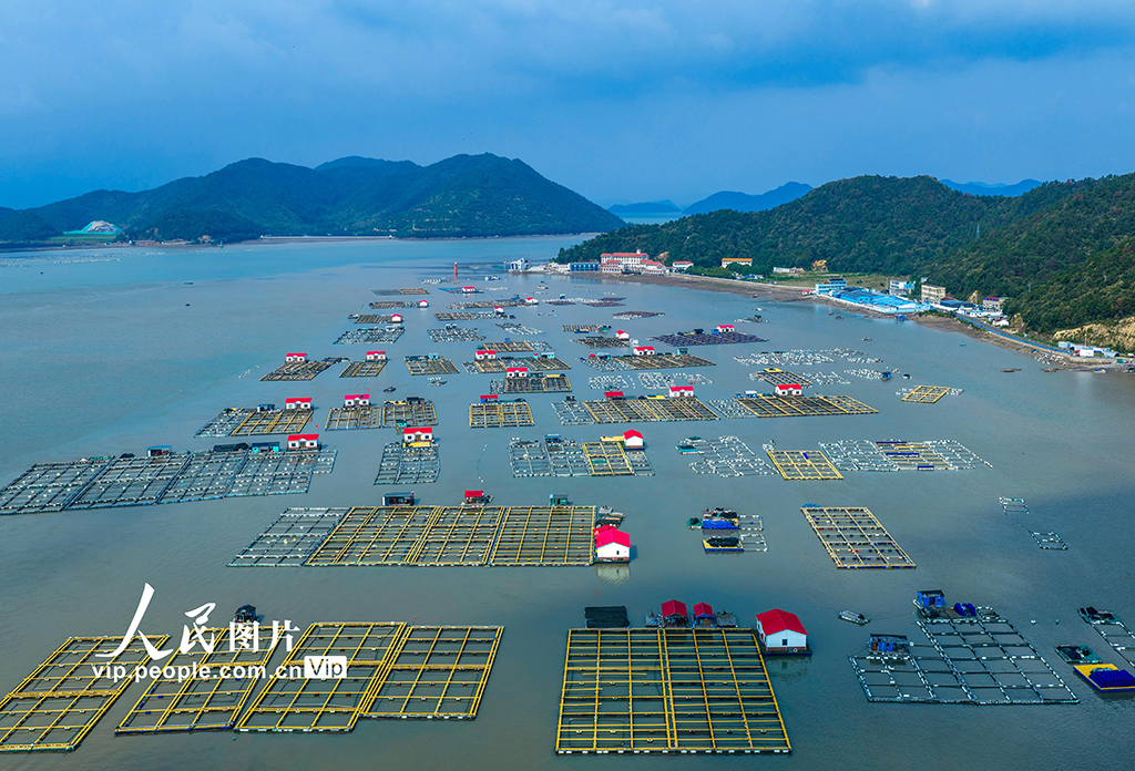 浙江宁波：海上“牧场”铺就共富路【2】