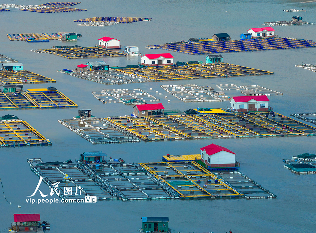 浙江宁波：海上“牧场”铺就共富路【3】