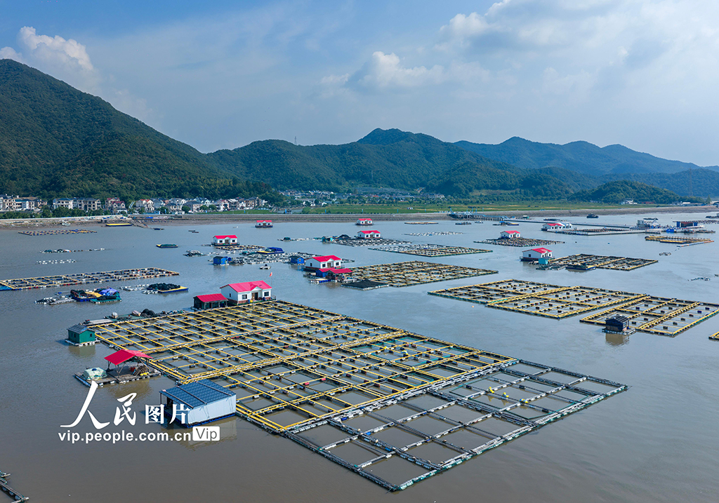 浙江宁波：海上“牧场”铺就共富路【5】