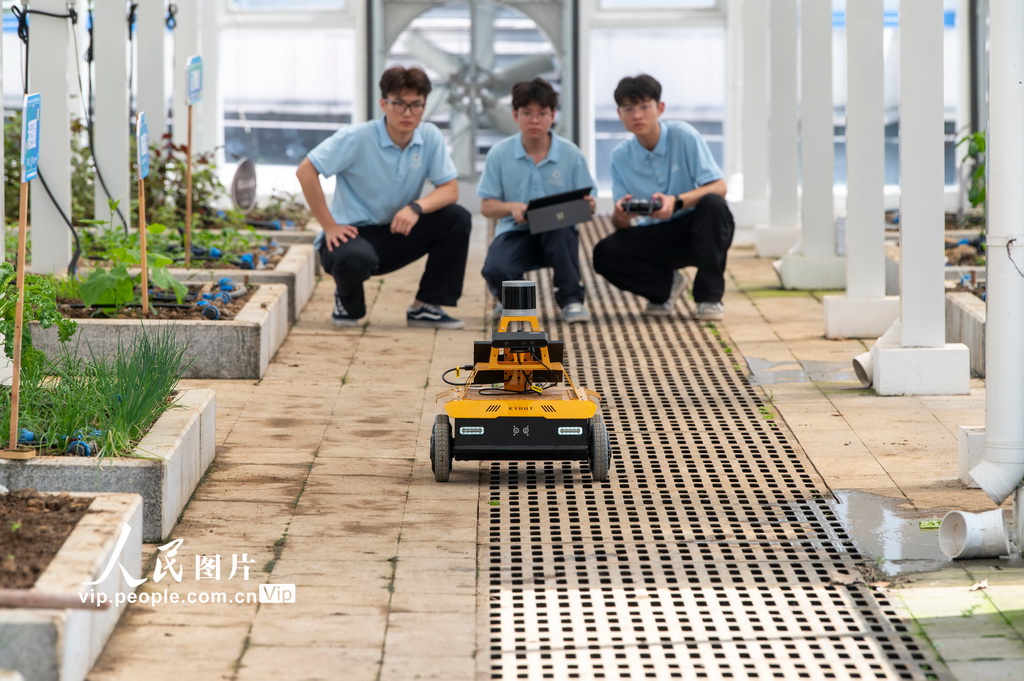 4月20日，浙江省金華職業技術大學信息工程學院智慧農業應用基地裡，由校企聯合開發的AI農業巡檢機器人正在進行巡檢中。胡肖飛攝（人民圖片網）