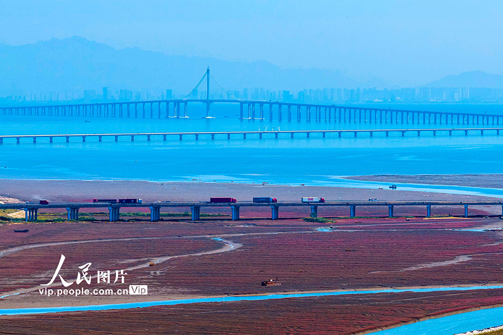山東青島:紅海灘繽紛絢麗 生態美鋪展河海【7】