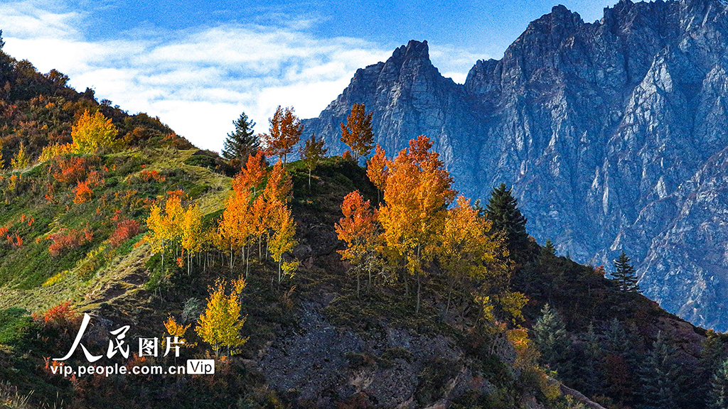 甘肃肃南：秋日祁连山风景如画