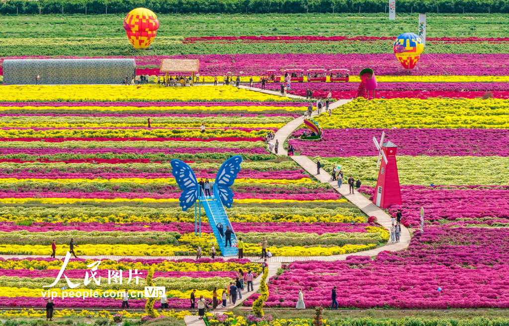 山西芮城：畅游花海 乐享假期【3】