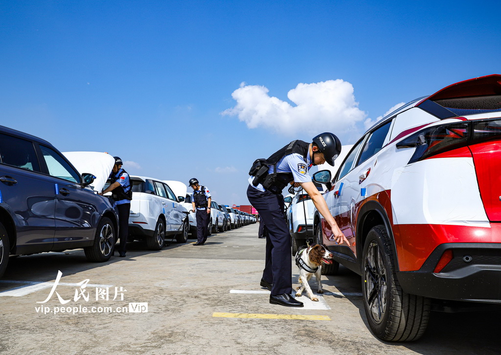 江苏南京：国产新能源汽车扬帆出海【4】