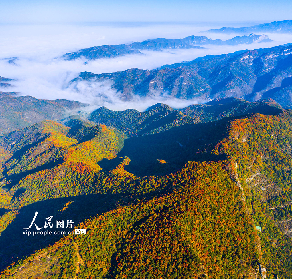 山西左权：云雾绕太行 秋景美如画【2】