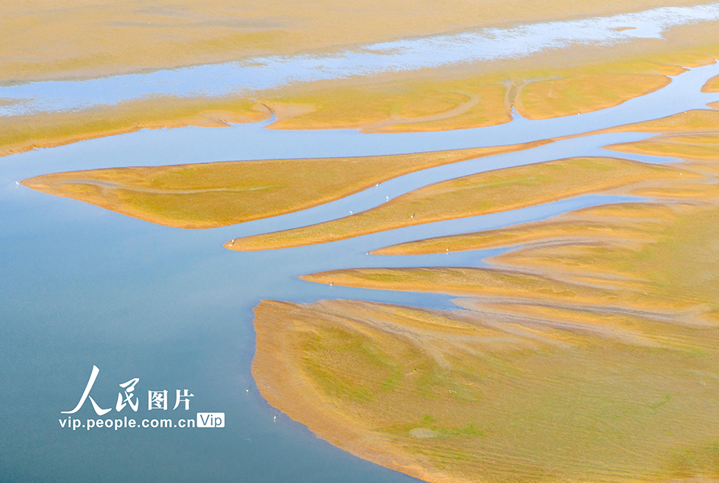 江西都昌：鄱湖秋色 生态画卷【3】