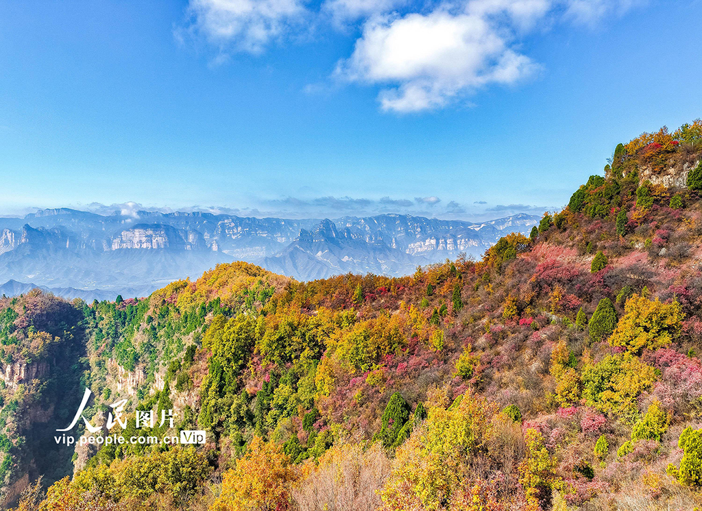 山西左权：太行秋色入画来【4】