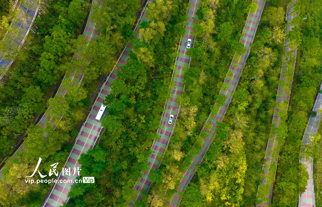 重庆：乡村公路美如画【3】