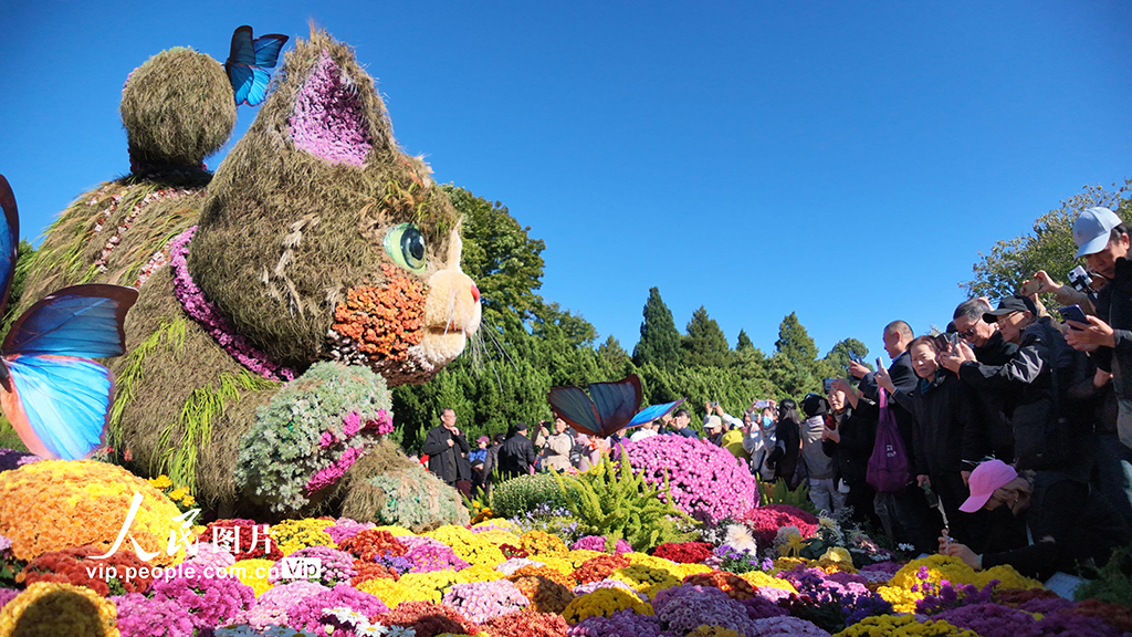 北海公园菊花展