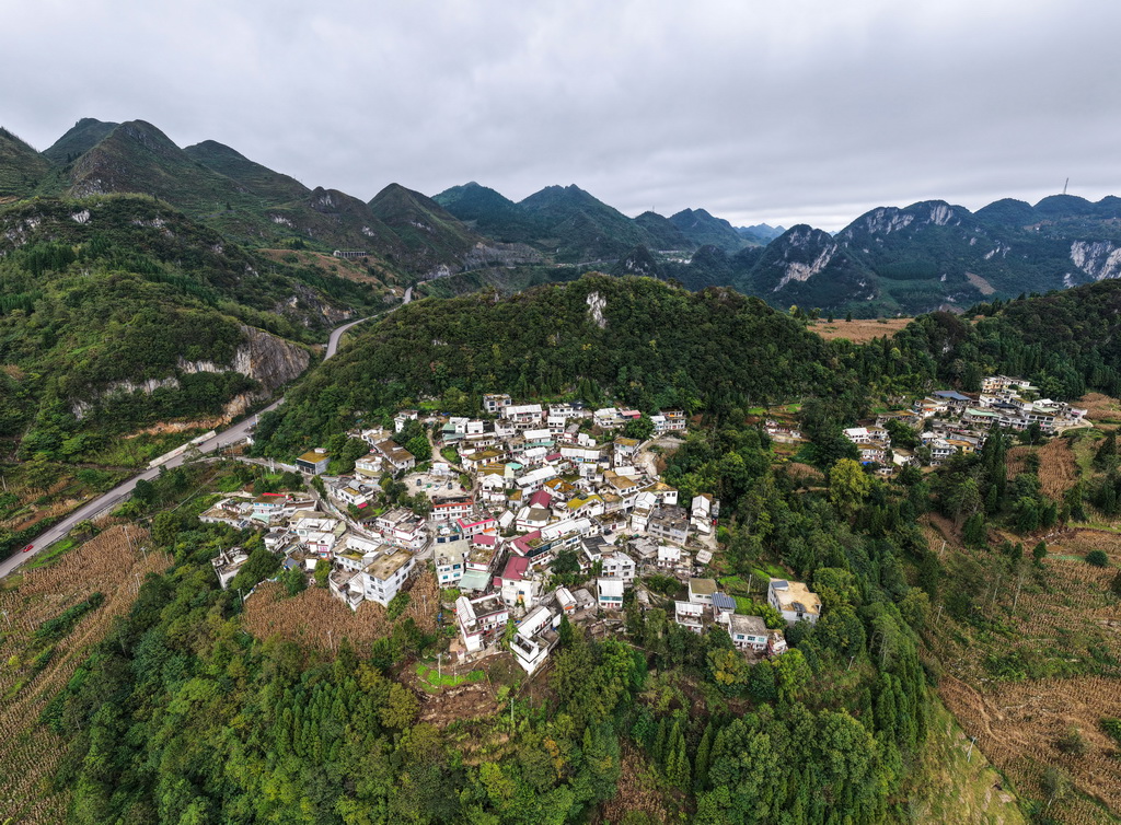 这是贵州省六盘水市水城区陡箐镇陡箐村猴儿关组（10月5日摄，无人机照片）。