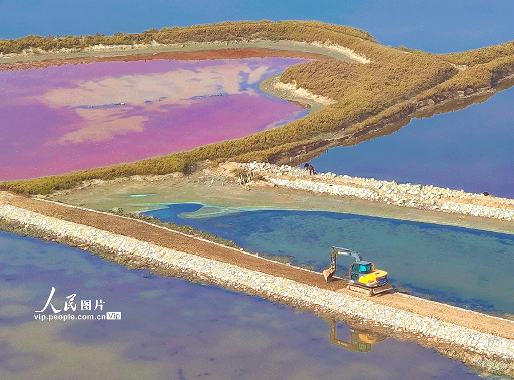 山西运城：堤埝加固 守护盐湖【3】
