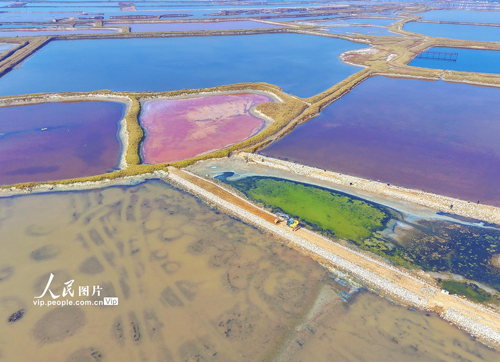 山西运城：堤埝加固 守护盐湖【5】