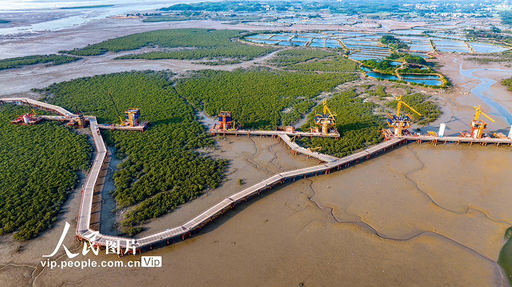 广西北海：铁山港跨海特大桥加紧建设【4】