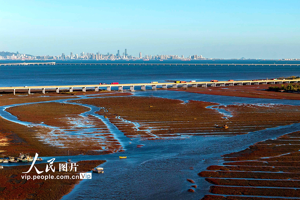 山东青岛：河海湿地美如画【3】