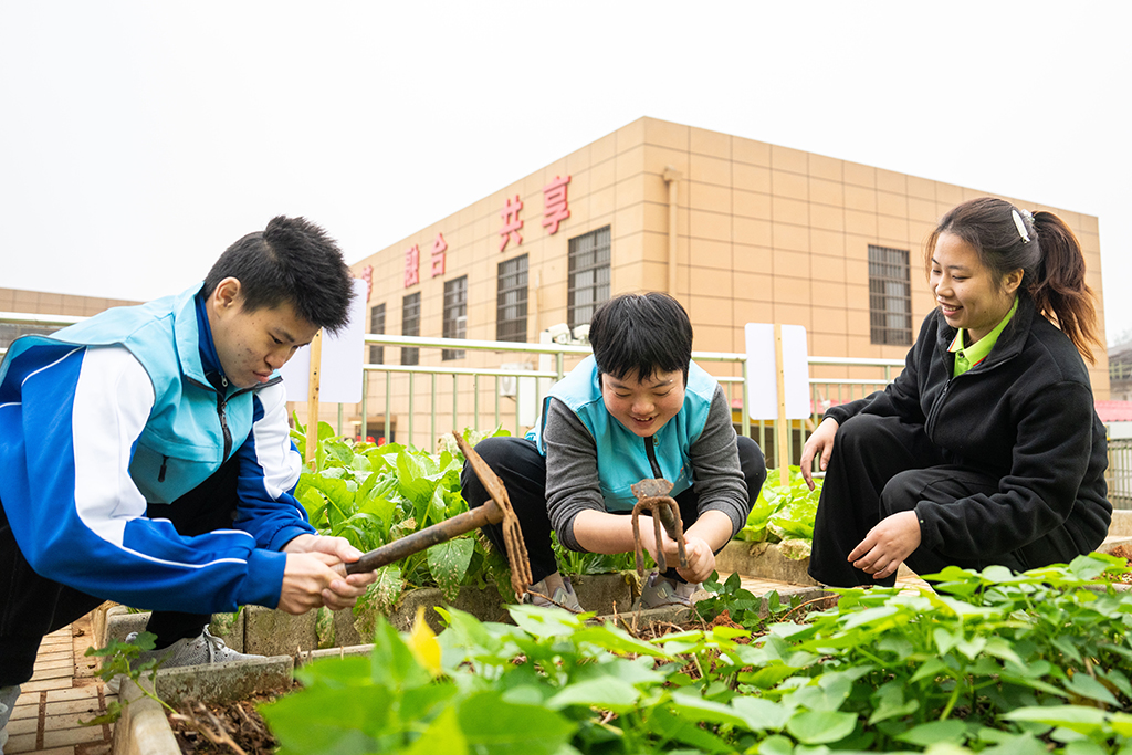 10月29日，在望城区星羽残疾人托养中心农疗区，工作人员（右一）指导学员翻土。