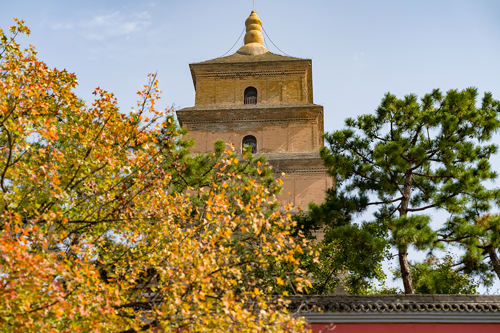陕西西安：大雁塔秋景