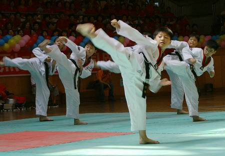 中国功夫vs韩国跆拳道