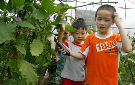 组图:北京小学生暑期社会实践到农村 (2)