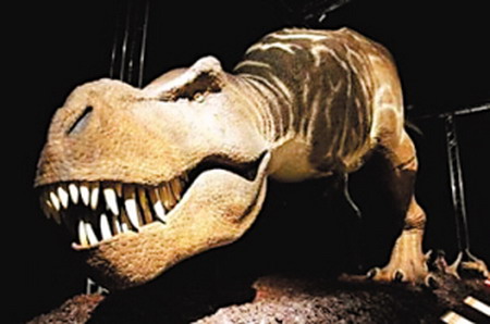 小贝跑不过霸王龙--图片--人民网