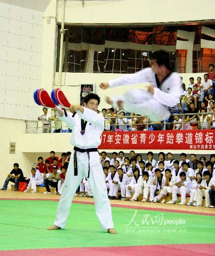 网络大赛摄影作品:韩国家跆拳道表演团献艺安